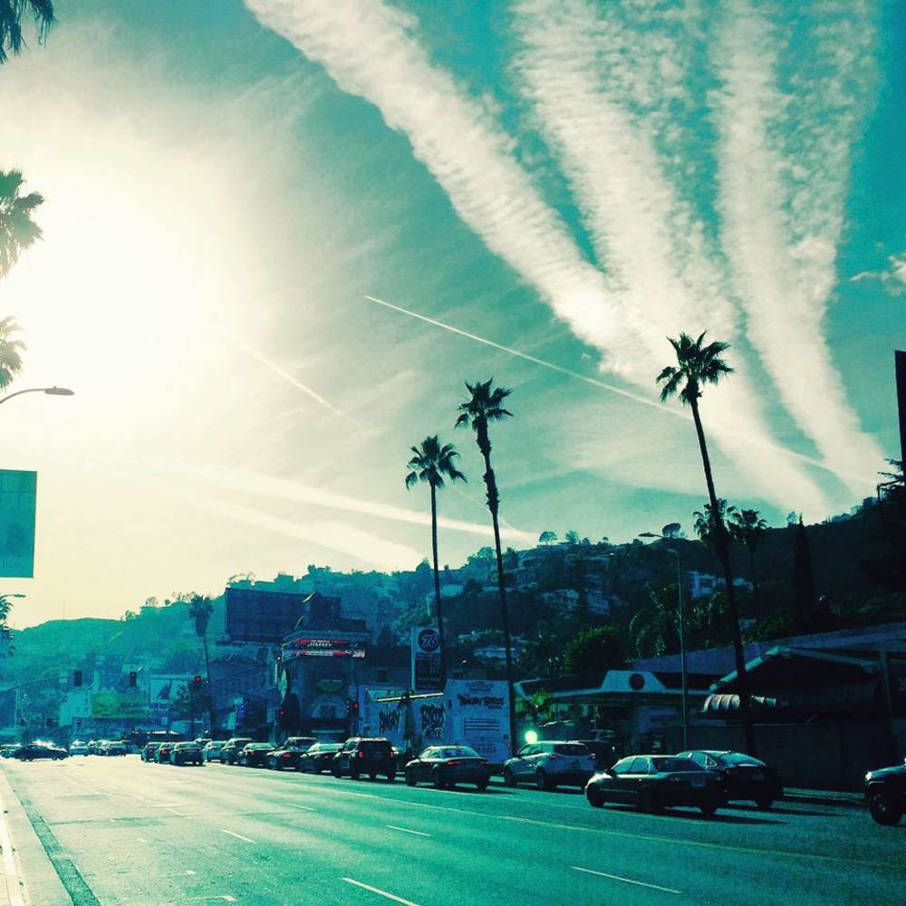 Meet your Posher, Mimi